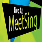 Singles - Meetsing icône