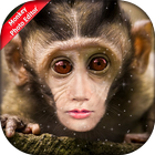 Monkey Photo Editor simgesi