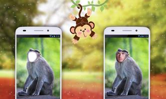 Monkey Photo Editor Affiche