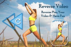 Reverse Video Affiche