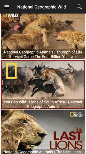 Nat Geo Wild Channel APK for Android Download Nat Geo Wild Channel APK for Android Download