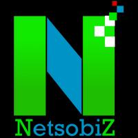 Netsobiz پوسٹر