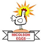 Nicolson Eggs ícone