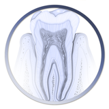 Atlas Odontología-APK