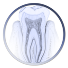 Atlas Odontología-icoon