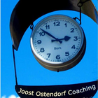 Joost Ostendorf icon