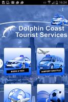 Dolphin Coast Affiche