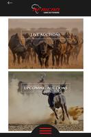 African Game Auctioneers Poster