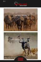 African Game Auctioneers Plakat