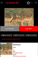 African Game Auctioneers تصوير الشاشة 3