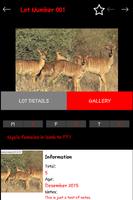 African Game Auctioneers captura de pantalla 3