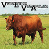 VLVA APK