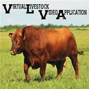 VLVA APK