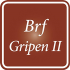 Brf Gripen 2 আইকন