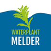 Waterplantmelder