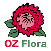 OZ Flora icon