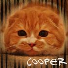 Cooper Cat Club ícone