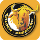 آیکون‌ Golden Breeders