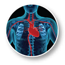 Cardiac Surgery Guide APK