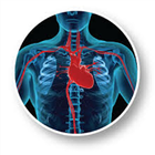 Cardiac Surgery Guide icon