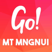 Go! Mt Maunganu