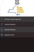 NY Appellate Daily 截图 2