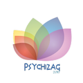 PsychiZag 2017