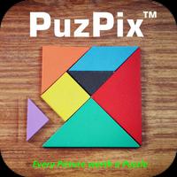 PuzPix پوسٹر