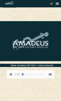 Radio Amadeus 104.9 постер
