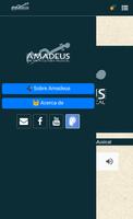 Radio Amadeus 104.9 Ekran Görüntüsü 1