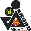 Radio Akord