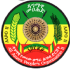 ዳግማዊ መዐሕድ AAPO II 아이콘