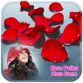 Rose Petal Photo Frames