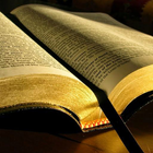 Series Biblicas icon