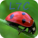 L7C "Loto Foot" Calculator APK