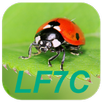 LF7C "Loto Foot" Calculator APK