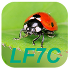 LF7C Calculateur de Loto Foot icône