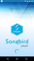 Songbird постер