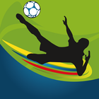 World Cup 2014 - Soccer Pro-icoon