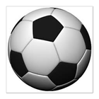 SoccerQuizzes icon