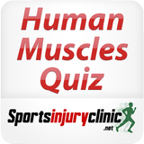 Human Muscles Quiz アイコン