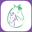 Stretch Your Horse APK