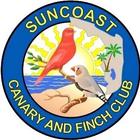 Suncoast Canary and Finch Club ícone