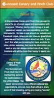 برنامه‌نما Suncoast Canary and Finch Club عکس از صفحه