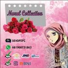 Nurul Collection icône