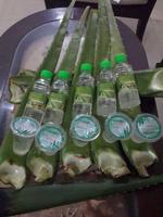 Istana Berkah ALOEVERA capture d'écran 3