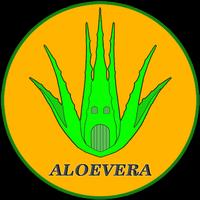 Istana Berkah ALOEVERA syot layar 2