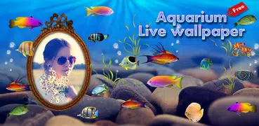 Aquarium Live Wallpaper