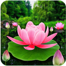 Flower Live Wallpaper 3D APK