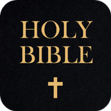 The Holy Bible ikona
